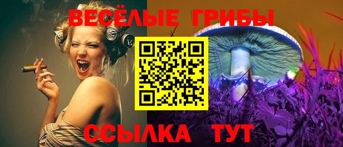 Маркс  Псилоцибиновые грибы Cubensis  Вход с VPN  Галлюциногенные грибы Psilocybine cubensis 