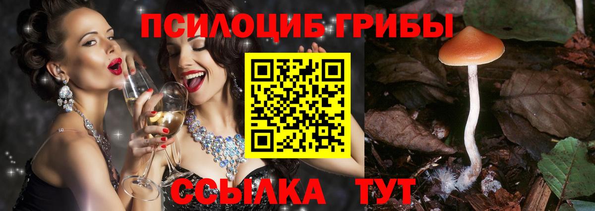 Псилоцибиновые грибы Cubensis Маркс